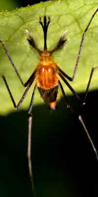  Image: Ecuador