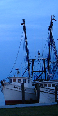 Image: The Deep South
