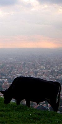 Image: Colombia