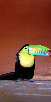 Image: Colombia