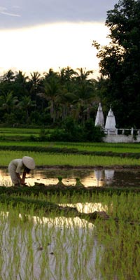 Laos