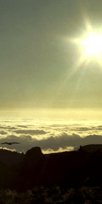 Kilimanjaro