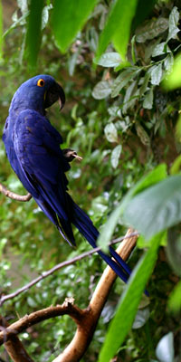 Ecuador