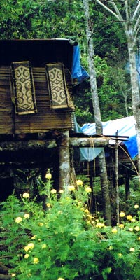 Borneo