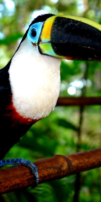 Ecuador