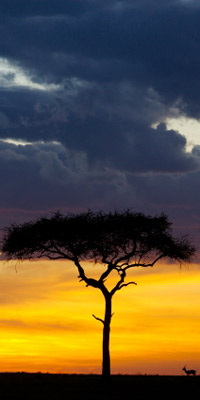 Tanzania