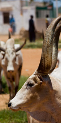 Khartoum, Sudan