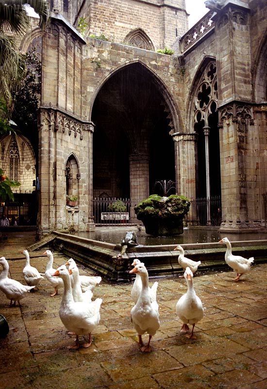 Photo Essay: Barcelona