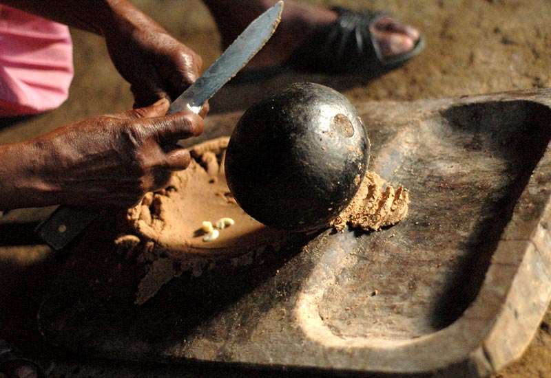 Photo Essay: Equatorial Guinea