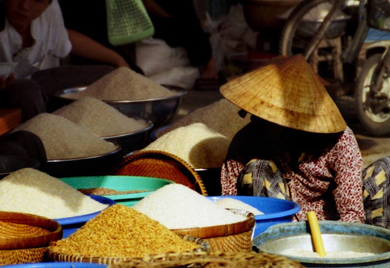 Photo Essay: Vietnam