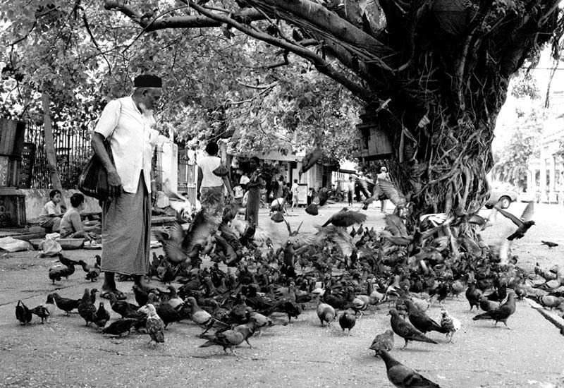 Photo Essay: Rangoon, Myanmar