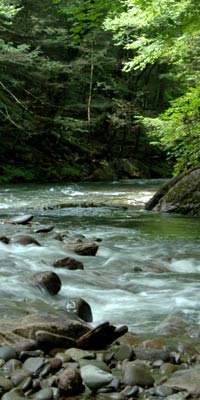 Image: Catskills