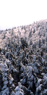 Image: Catskills