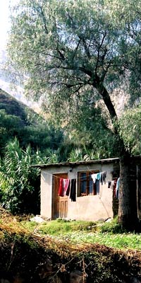 Image: Bolivia