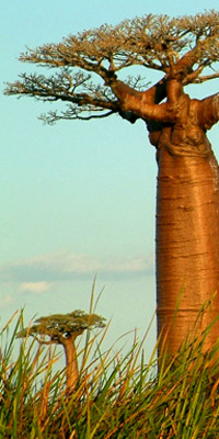 Travel Image: Kampala, Uganda