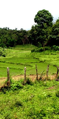 Travel Image: Pai, Thailand