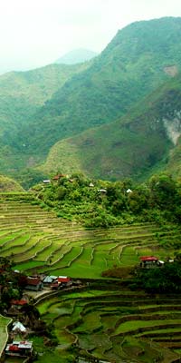  Image: The Philippines
