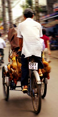 Image: Vietnam