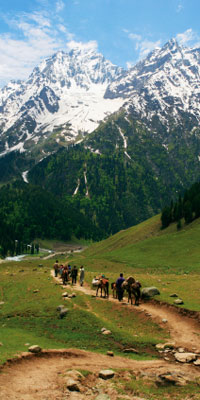 Kashmir