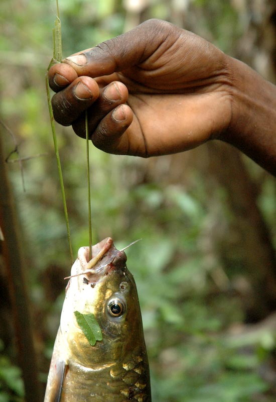 Photo Essay: Equatorial Guinea