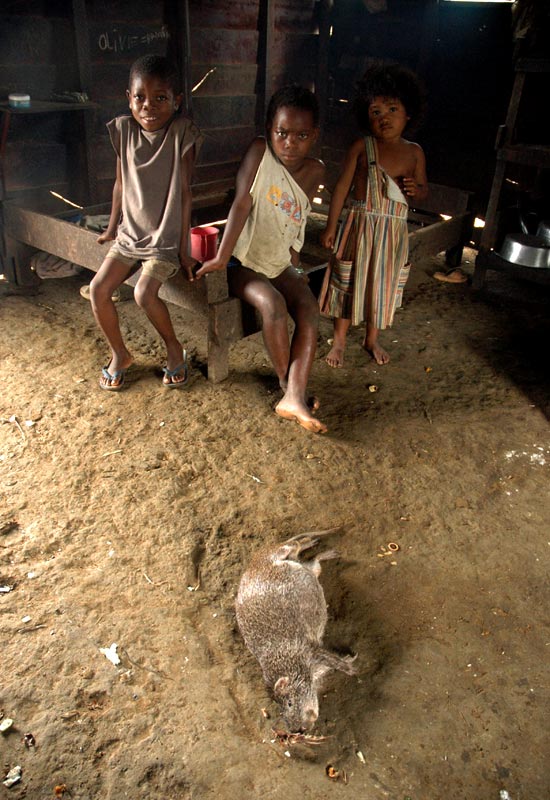 Photo Essay: Equatorial Guinea