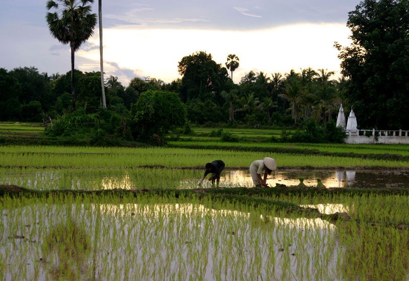 Photo Essay: Laos