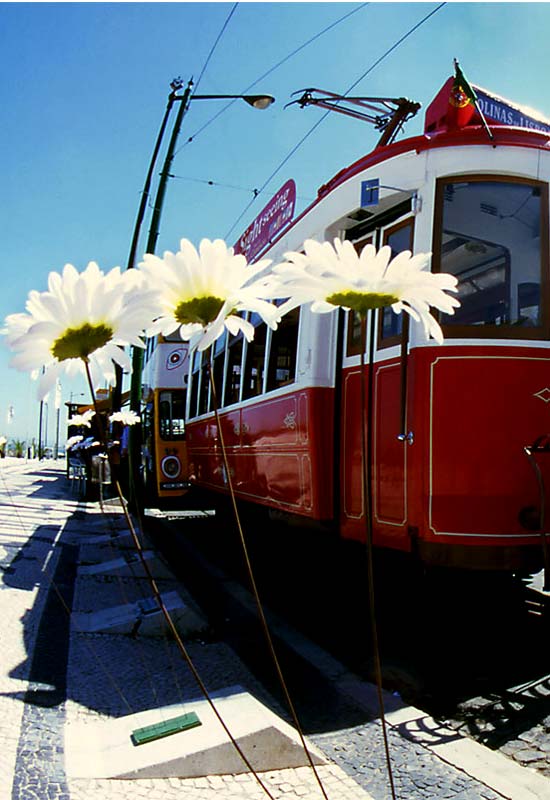 Travel Photo Essay: Lisbon, Portugal