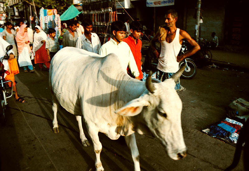 Travel Photo Essay: Delhi