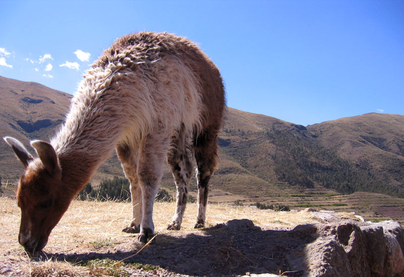 Photo Essay: The Andes