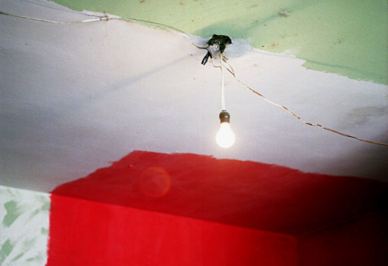 Oaxaca, Mexico