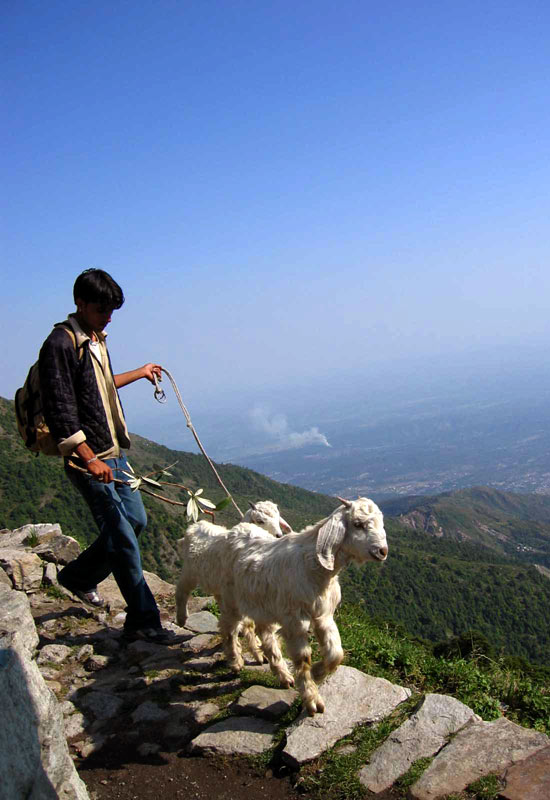 India